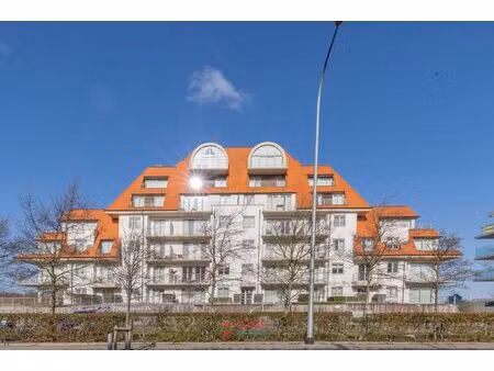 appartement à louer à albert i laan 62b nieuwpoort (rbv72516)