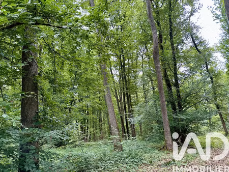 vente terrain 133671 m² charenton-du-cher (18210)