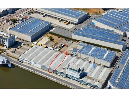 commercieel te huur in antwerpen