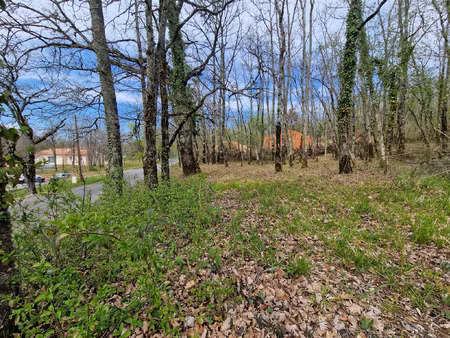 achat terrain 1 516m² nadaillac 24590