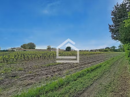 achat maison 11 pièces 312m² margaux 33460