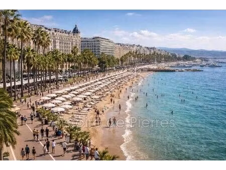 prestigieux appartement en vente cannes  provence-alpes-côte d'azur