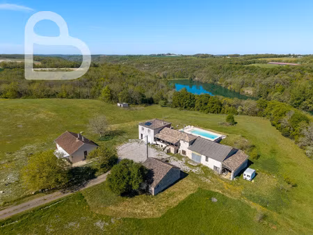 superbe domaine avec 2 maisons  dépendances et piscine