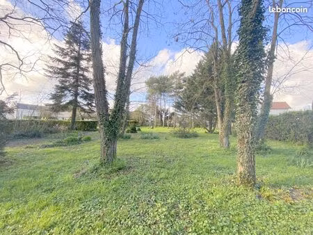 terrain constructible 2 000 m² – cadre arboré – proche centre – rare