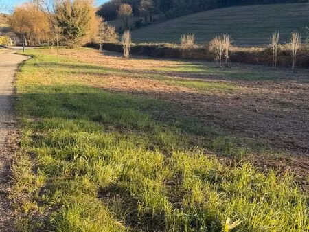 terrain à vendre castelnau-barbarens