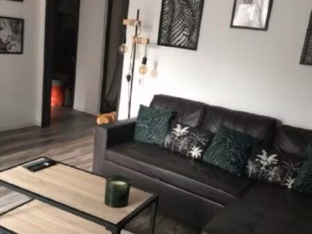 appartement centre ville meublé