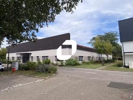 location local d’activités venissieux 69200 233m² à 1699m²