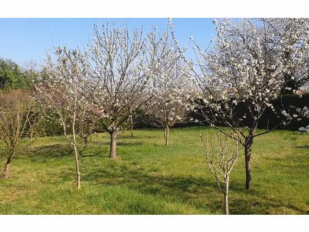 terrain de 700 m² à izeron - 59 900 €