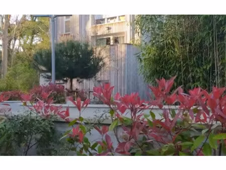 le touquet-paris-plage (62520)