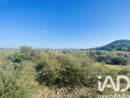 vente terrain à roquefort-des-corbières (11540) : à vendre / 4910m² roquefort-des-corbière