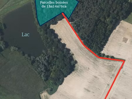 achat terrain 11 476m²