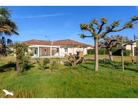 vente maison 6 pièces 144 m² saint-sever (40500)