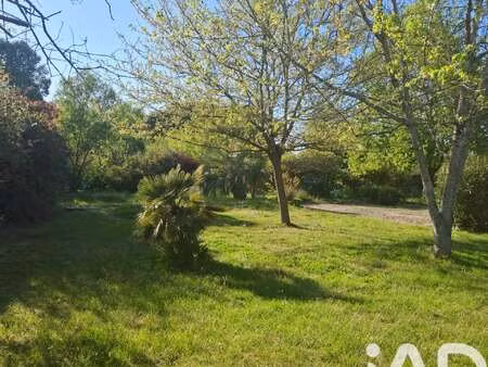 vente terrain à montauban (82000) : à vendre / 2000m² montauban