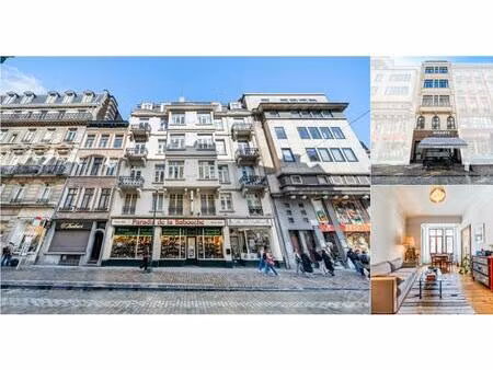 immeuble de rapport à vendre à plattesteen 15 bruxelles (vbe11963)