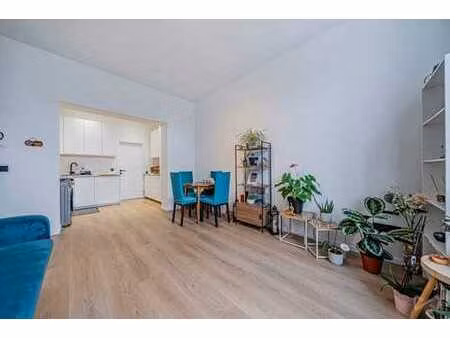 superbe appartement une chambre rénové