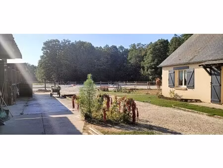 propriété équestre à vendre chambois