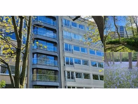 appartement à louer à e. beernaertstraat 66 ostende (rwc42345)