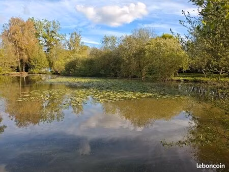 vends terrain avec étang