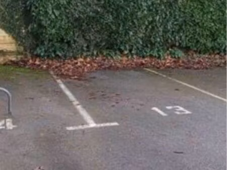 place de parking le cannet