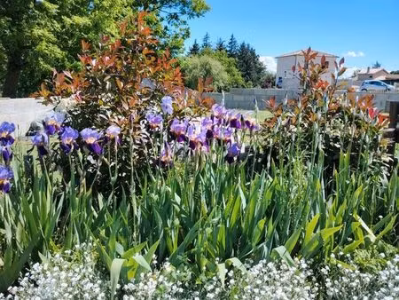 maison neuve meublé