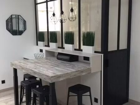 exceptionnel : maisonnette meublée t2 50m2 avec superbe extérieur située cours j-b langlet