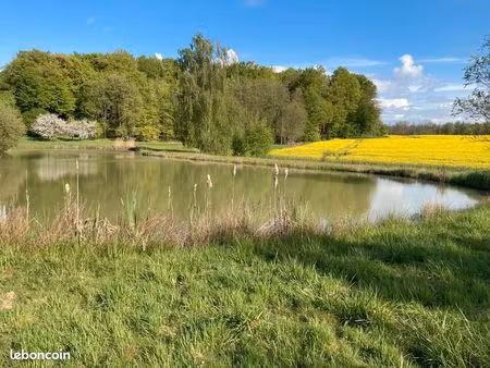 etang et terrain