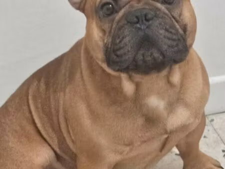 recherche fermette maison individuelle