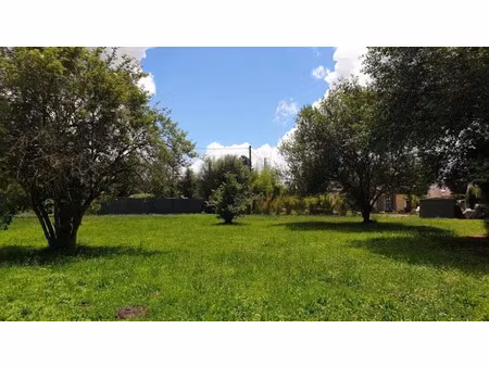 vente terrain 1156 m² à le vaudoué (77123)  150 000 €