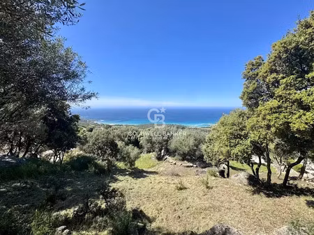 vente terrain 2500 m² à corbara (20220)  590 000 €
