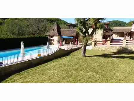 propriété avec piscine et jardin vezac (24)