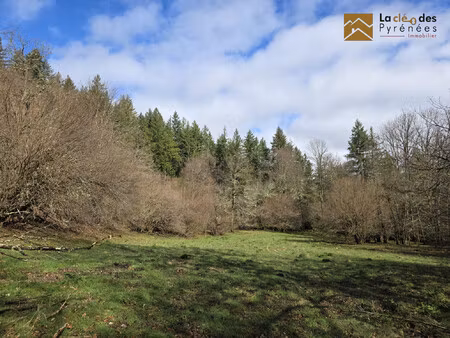 parcelle non constructible de 23704 m² dans le bergons !