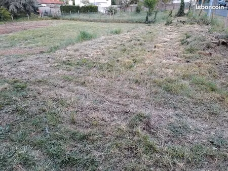 terrain construtible