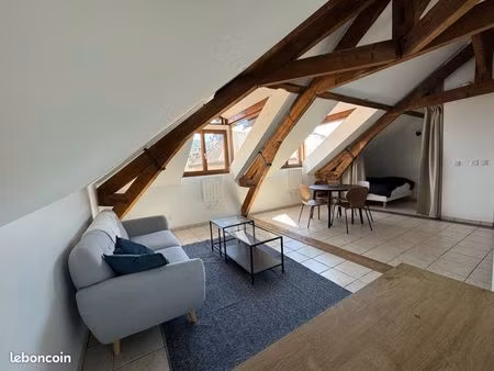 meublé lumineux hyper centre annecy proche lac