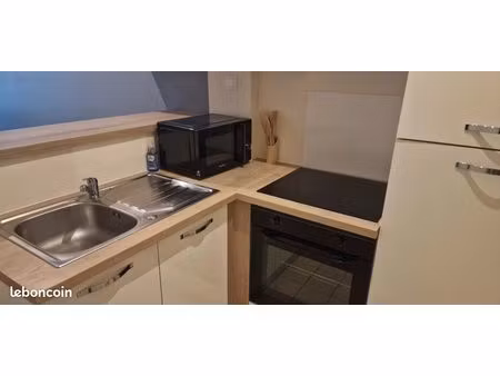 duplex meublé 25m² - hypercentre rue st-gelais