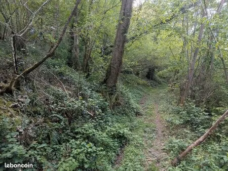 parcelle de bois