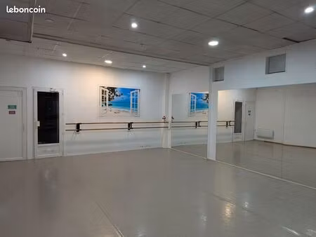 local commercial ou professionnel 69003-69100