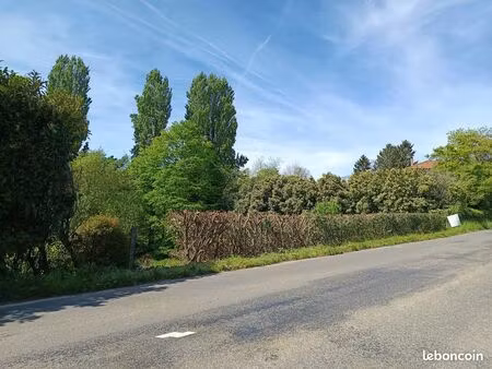 terrain 1099 m2 254 000