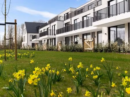 appartement à louer à beveren-waas € 800 (lnd7y) | zimmo