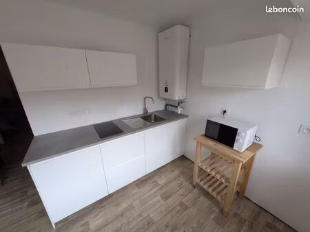 appartement vauban - wazemmes