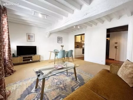 grand t2 meublé cosy en centre-ville