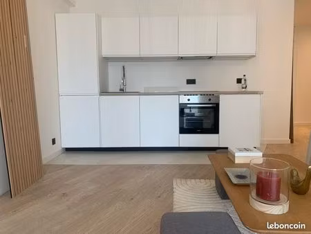 charmant t2 50 m² avec mezzanine  jardin et climatisation – graissessac