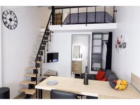 charmant studio meublé avec mezzanine 22 m²  quartier hôpital