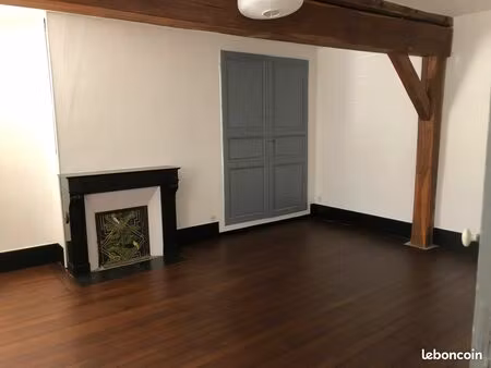 appartement lumineux 65 m² centre ville