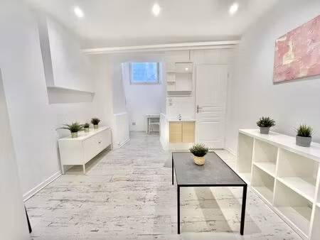 appartement à louer strasbourg