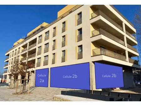 vente commerce montigny-lès-metz 257 m²