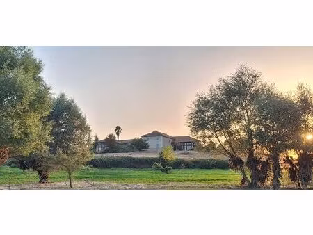 achat maison 5 pièces 149m² masseube 32140