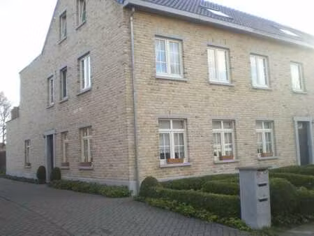 appartement te huur in wuustwezel met 1 slaapkamer
