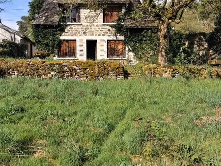 maison à rénover sur terrain plat très proche bort les orgues