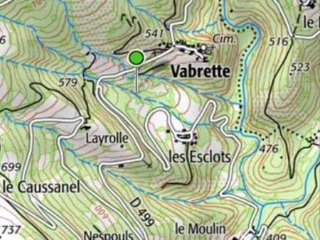 275m2 bois taillis nc aveyron aysennes 12430