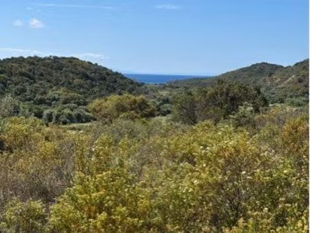 terrain 14 000 m² viabilisé – monacia-d'aullène